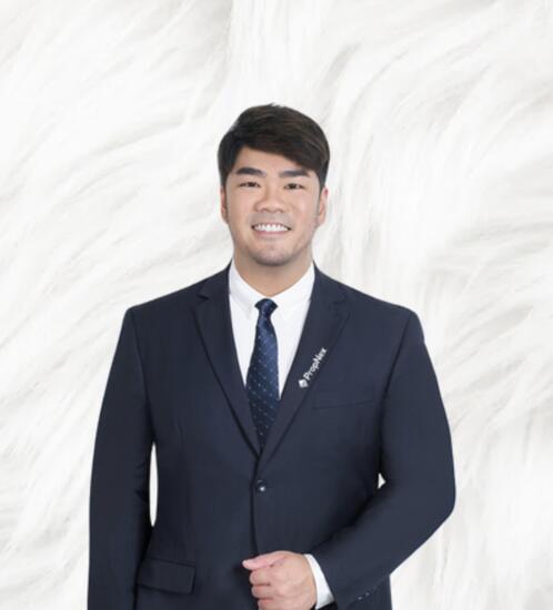 Agent Avatar