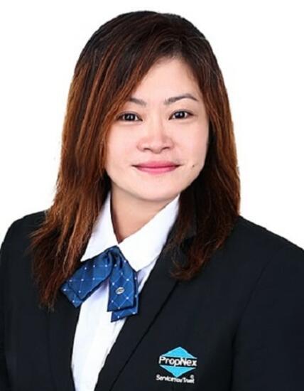 Agent Avatar