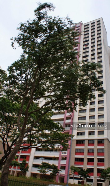 For Rent - 315B Ang Mo Kio Street 31