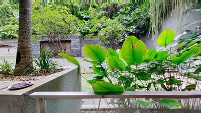 For Rent - 8 @ Mount Sophia