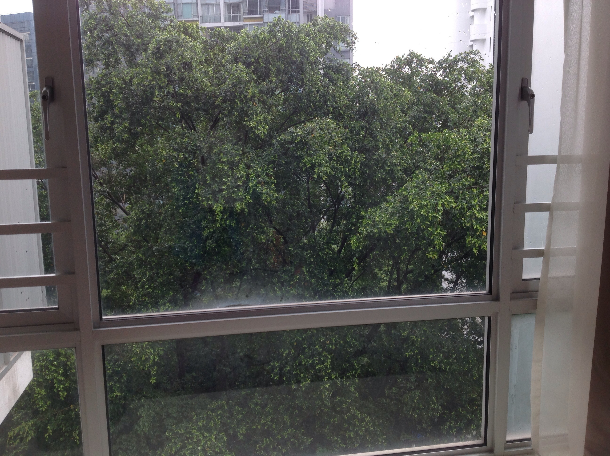 Cairnhill Residences, 31 Cairnhill Circle, 2 Bedrooms, 904 sqft, Apartment For Rent, by Olivia Chuang, 10168505 - Bedroom view - PropertyGuru.com.sg