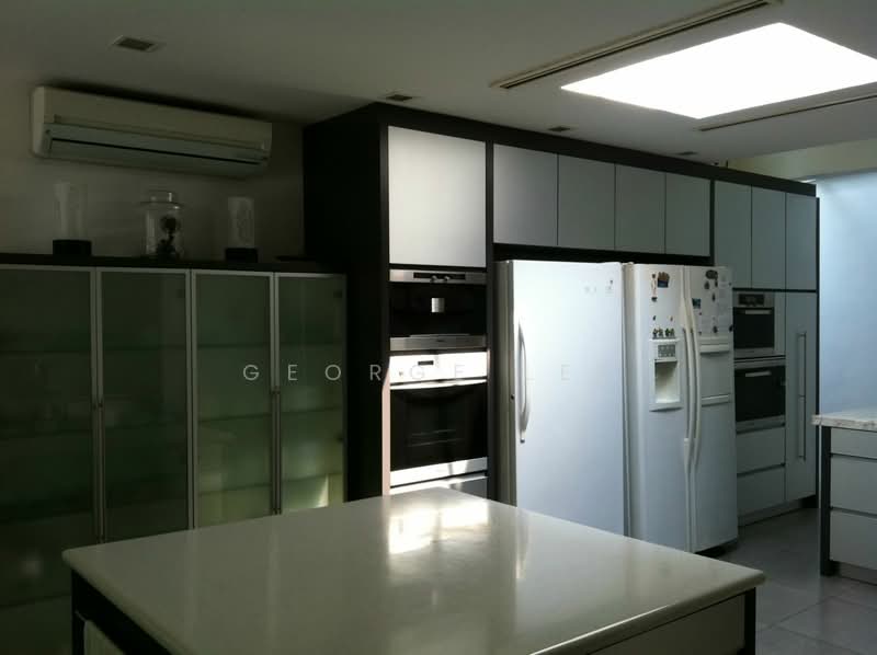 Rare corner GCB in Raffles Park!, Oriole Crescent, 6 Bedrooms, 8,000 sqft, Good Class Bungalow For Sale, by George Lee, 10694770 - PropertyGuru.com.sg