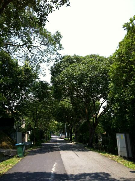 For Rent - Raffles Park @ Bukit Timah