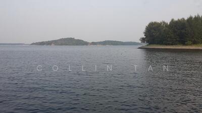 For Rent - 613D Punggol Drive