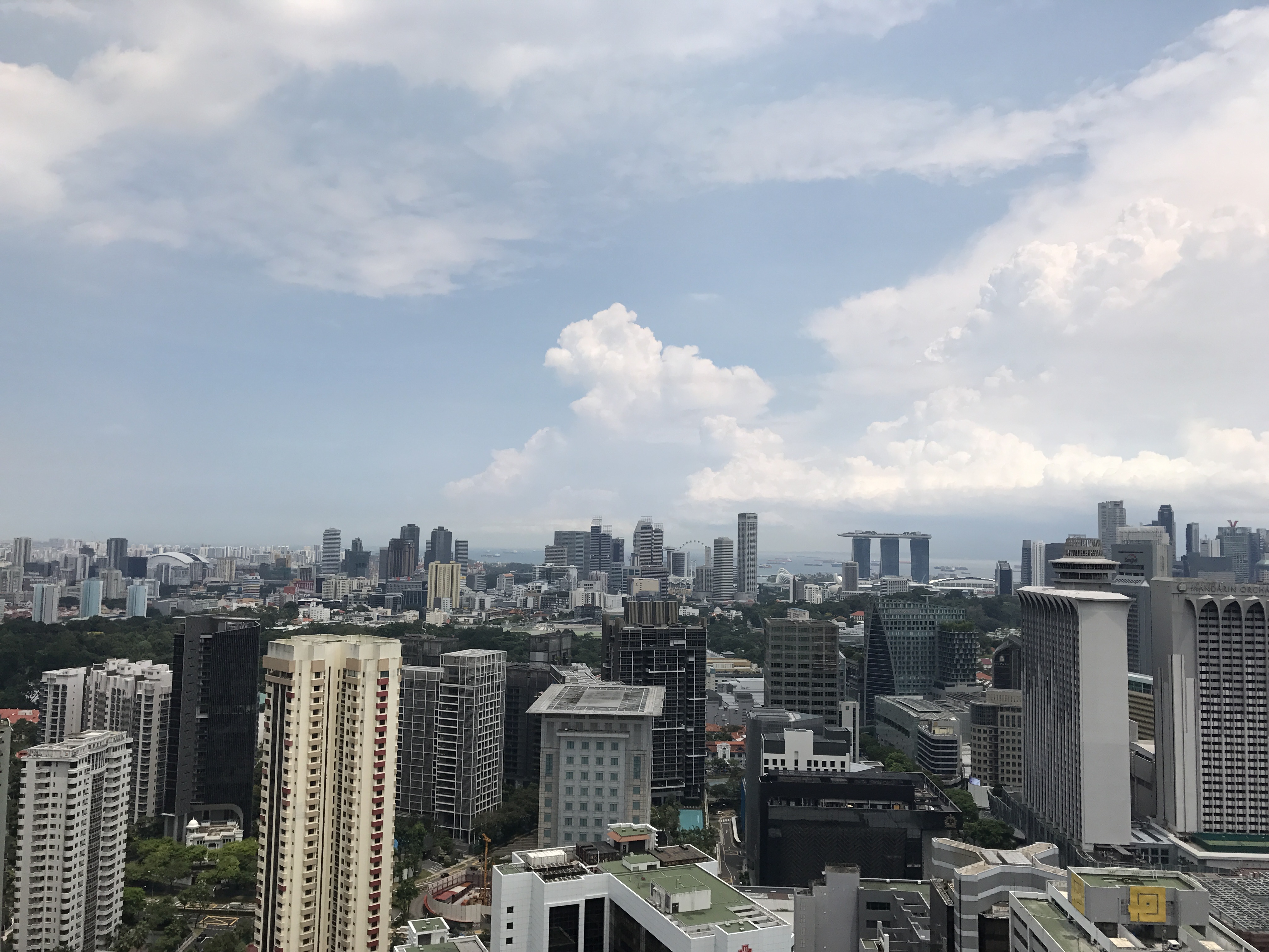 Scotts Square, 6 Scotts Road, 1 Bedroom, 635 sqft, Apartment For Rent, by Eric Chua (蔡世雄), 11302758 - PropertyGuru.com.sg