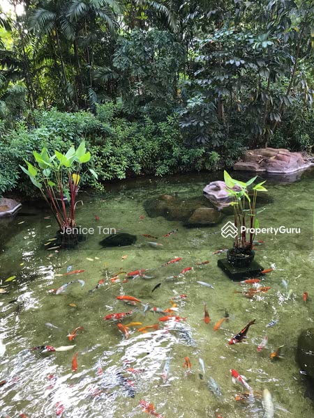 Four Seasons Park, 8 Cuscaden Walk, 6 Bedrooms, 3,821 sqft, Condominium For Rent, by Jenice Tan, 11346790 - PropertyGuru.com.sg