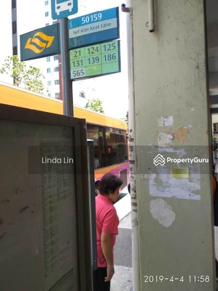 Parc Haven, 12 Lorong Limau, Studio, 452 sqft, Condominium For Rent, by Linda Lin, 1140360 - so many buses available - PropertyGuru.com.sg