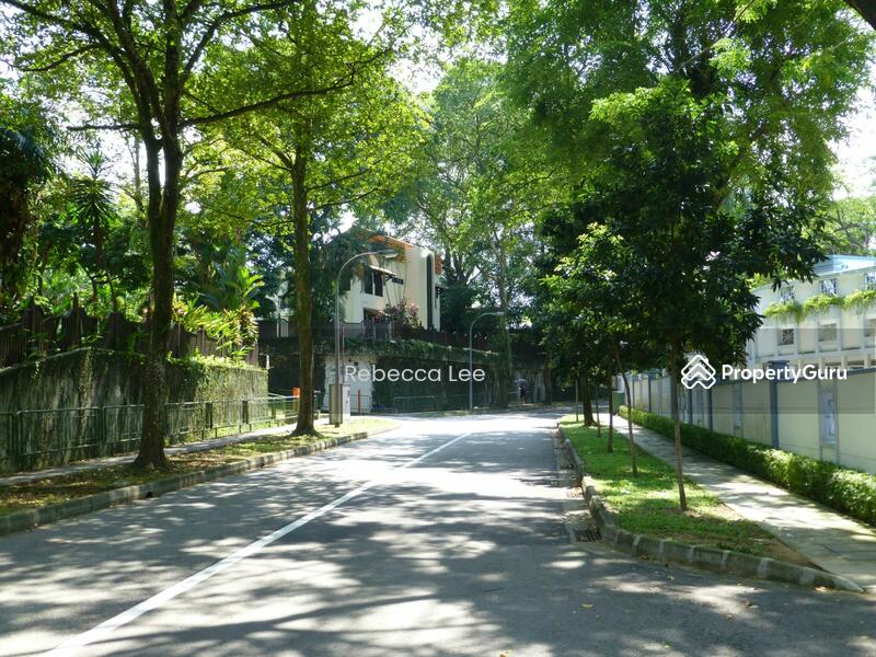 D10 condo amongst landed estate