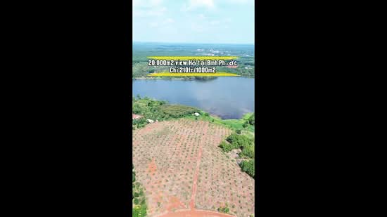 Bán 2ha đất đỏ bazan view hồ Long Bình, Phú Riềng