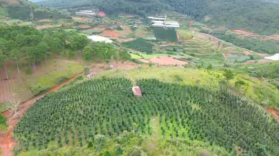 6419m2 trung tâm Lạc Dương - 4.8tỷ