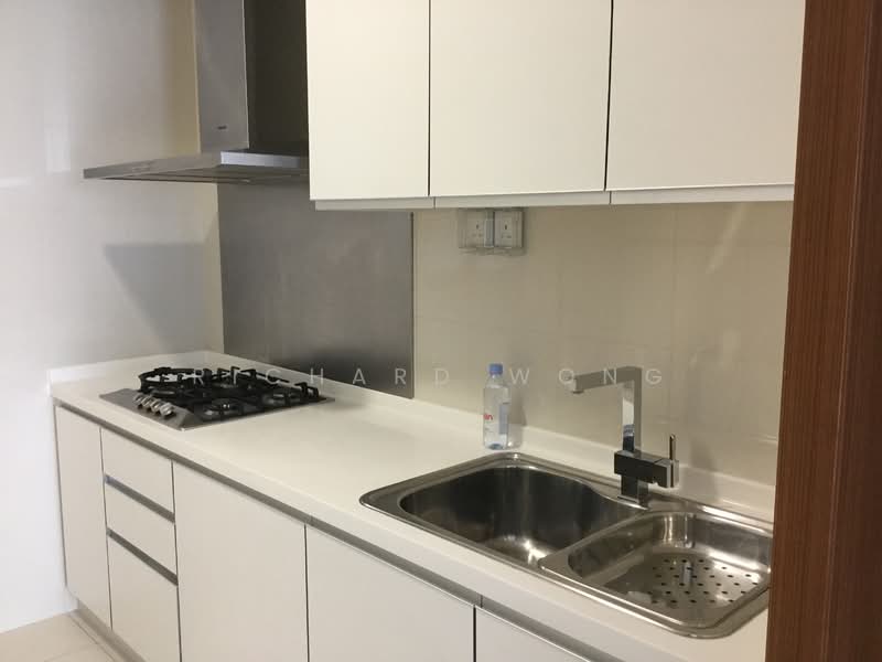 Saint Thomas Suites, 33 St Thomas Walk, 4 Bedrooms, 2,605 sqft, Condominium For Rent, by Richard Wong, 12632625 - wet kitchen - PropertyGuru.com.sg