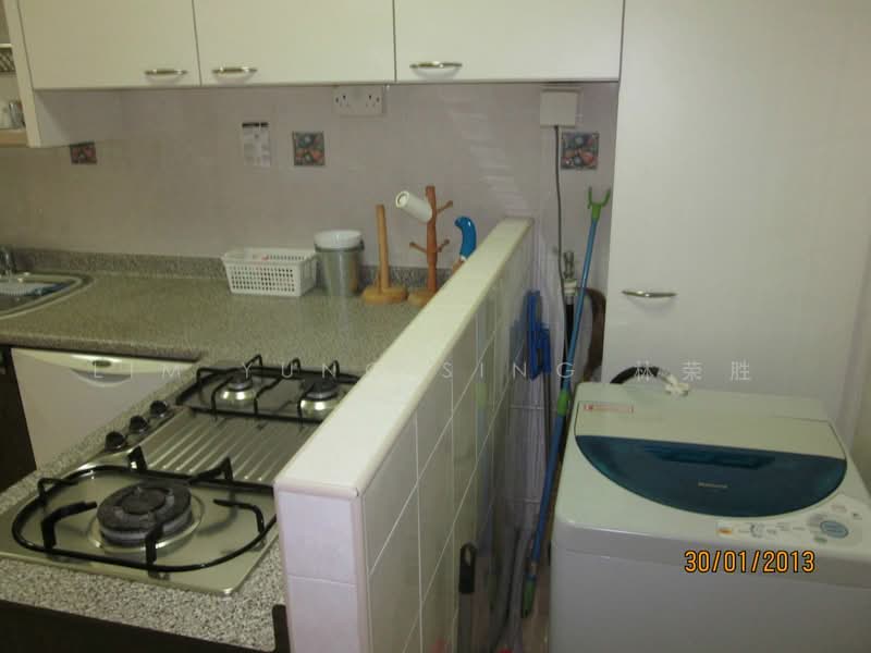 17 Dover Crescent, 17 Dover Crescent, 2 Bedrooms, 1,000 sqft, HDB Flat For Rent, by Robert Lim Yung Sing 林榮燊, 12885293 - Laundry Area - PropertyGuru.com.sg