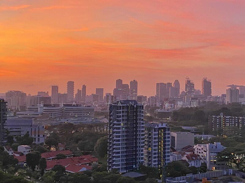 Trilight, 9 Newton Road, Newton / Novena, 2 Bedrooms, 1,195 sqft, Condominium For Rent, by Ella Chang 张慧媄, 12955996 - Unblocked views from unit - PropertyGuru.com.sg