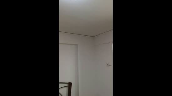 333 Serangoon Avenue 3, 333 Serangoon Avenue 3, 3 Bedrooms, 904 sqft, HDB Flat For Rent, by Janet Tan, 13142367 - PropertyGuru.com.sg