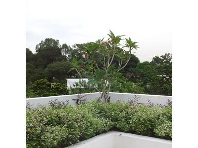 For Sale - ❤️LOWEST PSF❤️ !!! BEST BUY GCB ☎️91916668