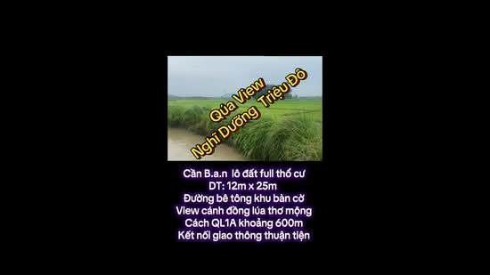 SIÊU PHẨM LÀM NHÀ VƯỜN BIỆT THỰ