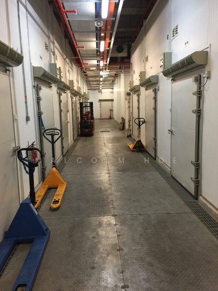 Coldroom for Rent, 30 Alexandra Lane, 200 sqft, Light Industrial (B1) For Rent, by Malcolm Hoe, 13820366 - Cold Room Facility - CommercialGuru.com.sg