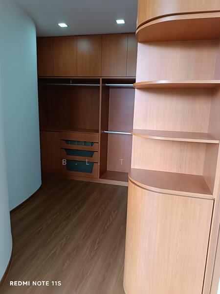 huge Walk-in wardrobes