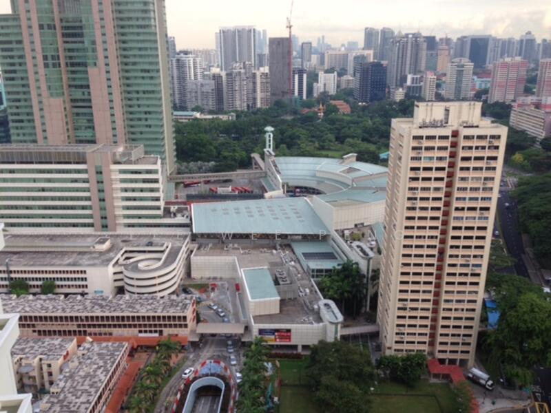 Unblocked view from the living room