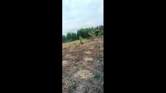 93 triệu 1000 m2, DT 6000m2, xã Khánh Thượng