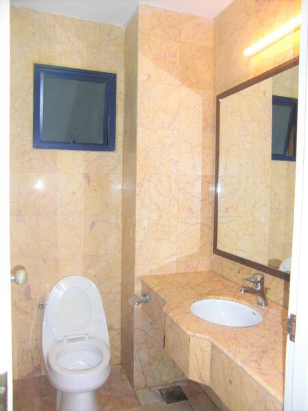 Nineteen Shelford, 19 Shelford Road, 2 Bedrooms, 1,000 sqft, Condominium For Rent, by Christina Lim, 14437006 - ATTACHED MASTER BATHROOM - PropertyGuru.com.sg