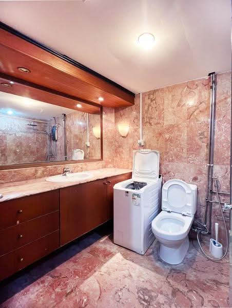 The Plaza, 7500A Beach Road, Beach Road / Bugis / Rochor, 1 Bedroom, 527 sqft, Apartment For Rent, by Tracy Lim, 15312151 - Bathroom - PropertyGuru.com.sg