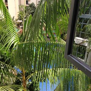 For Sale - East Meadows