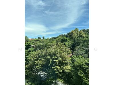 For Rent - The Pearl @ Mount Faber