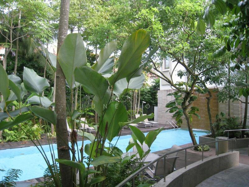 The Chancery Residence, Chancery Lane, Newton / Novena, 6 Bedrooms, 3,780 sqft, Cluster House For Sale, by June Loy, 15699988 - Resort Like Pool Area - PropertyGuru.com.sg