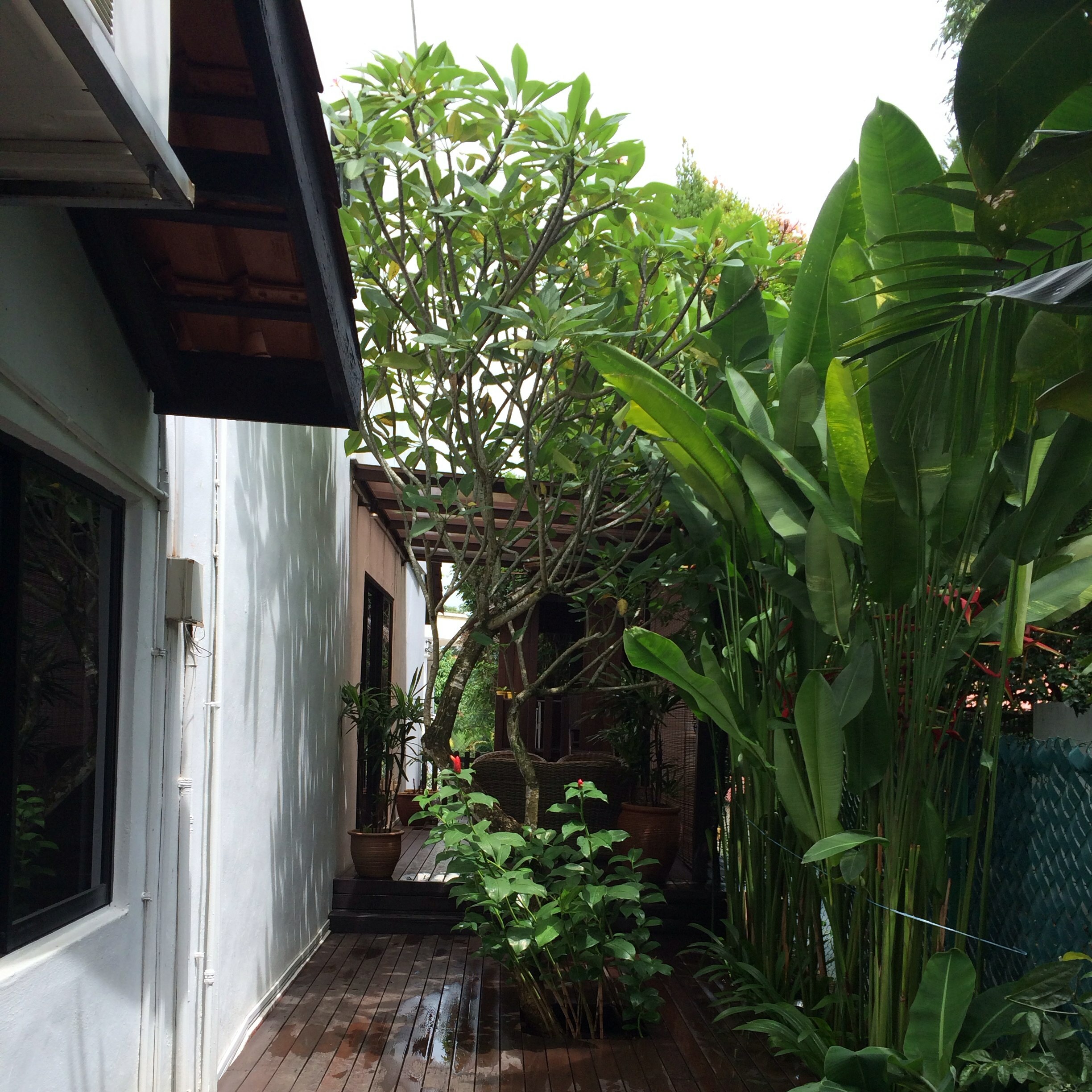 Pasir Ris Terrace, Pasir Ris Terrace, 5 Bedrooms, 3,500 sqft, Corner Terrace For Rent, by Lincoln Choo, 16174501 - PropertyGuru.com.sg