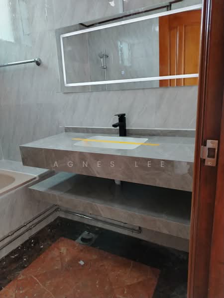 Spring Grove, 53A Grange Road, 3 Bedrooms, 1,389 sqft, Condominium For Rent, by Agnes Lee, 16461570 - PropertyGuru.com.sg