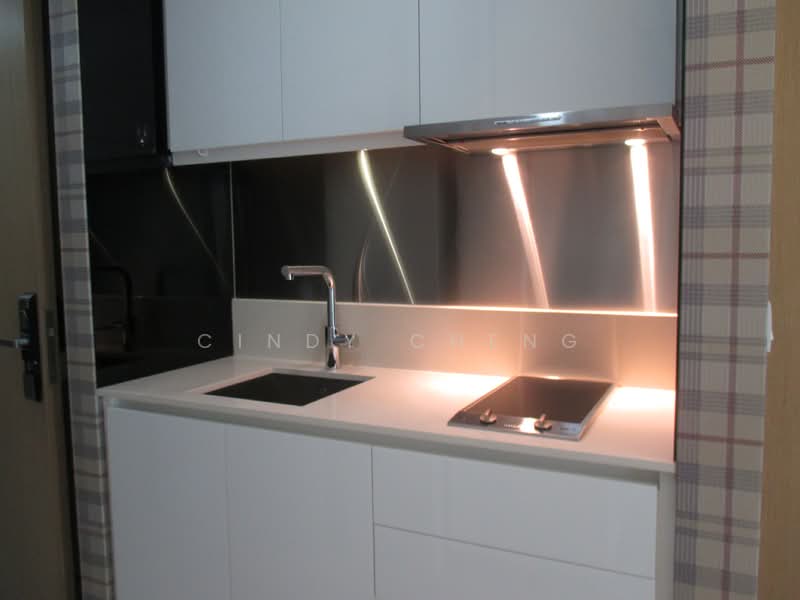 The Laurels @ Cairnhill Road, 38 Cairnhill Road, 1 Bedroom, 549 sqft, Condominium For Rent, by Cindy Cheng, 16504001 - Kitchenette - PropertyGuru.com.sg