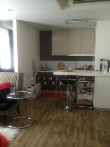 UE Square, 205 River Valley Road, Orchard / River Valley, 1 Bedroom, 506 sqft, Condominium For Rent, by Corina Tan, 16652724 - PropertyGuru.com.sg