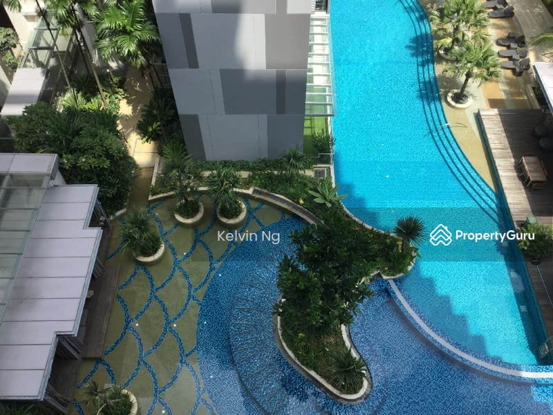 The Shore Residences, 81 Amber Road, 1 Bedroom, 592 sqft, Condominium For Rent, by Kelvin Ng, 16802512 - PropertyGuru.com.sg