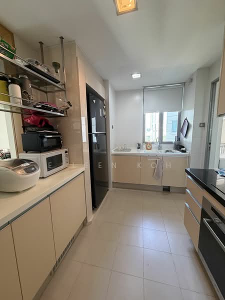 Paterson Residence, 83 Paterson Road, 3 Bedrooms, 1,313 sqft, Condominium For Rent, by Eileen Koh, 17004078 - PropertyGuru.com.sg