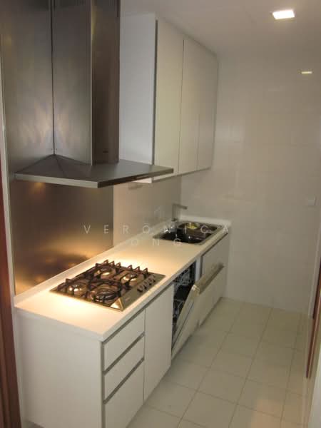 Saint Thomas Suites, 33 St Thomas Walk, 3 Bedrooms, 1,819 sqft, Condominium For Rent, by Veronica Ong, 17559695 - wet kitchen - PropertyGuru.com.sg