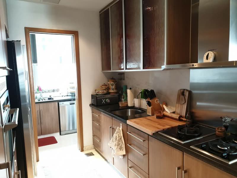 The Orion, 6C Orange Grove Road, 4 Bedrooms, 3,295 sqft, Apartment For Rent, by Alex Tang 陳拁燐, 17630386 - dry & wet kitchen - PropertyGuru.com.sg