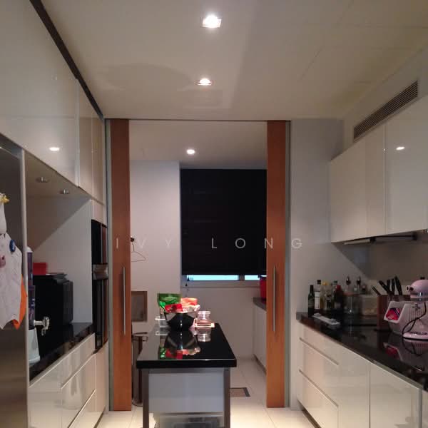 Grange Residences, 93 Grange Road, 4 Bedrooms, 2,583 sqft, Condominium For Rent, by Ivy Long, 17641715 - PropertyGuru.com.sg