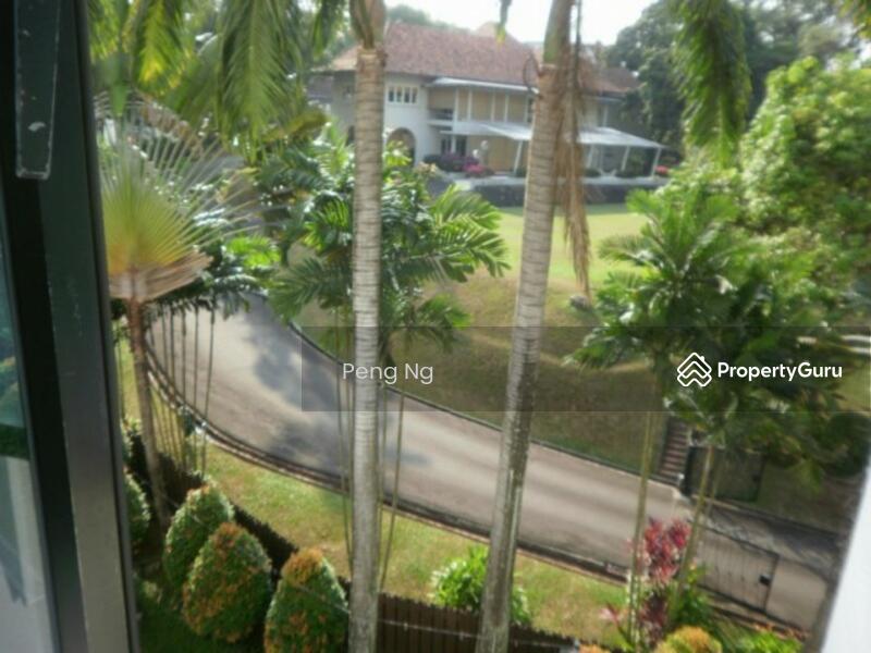 4th floor view