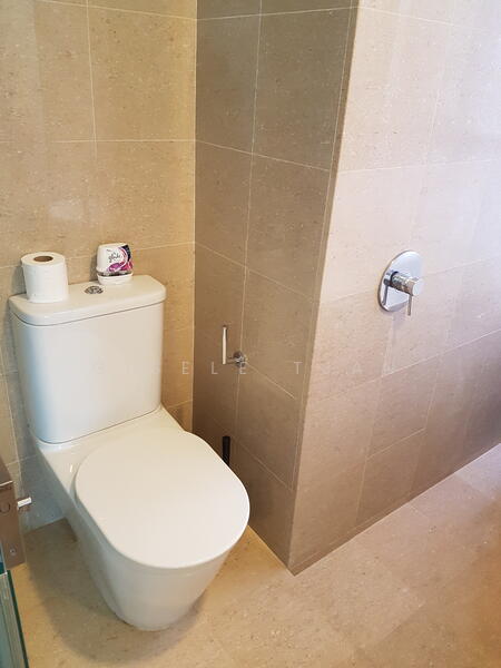 Master Bathroom toilet