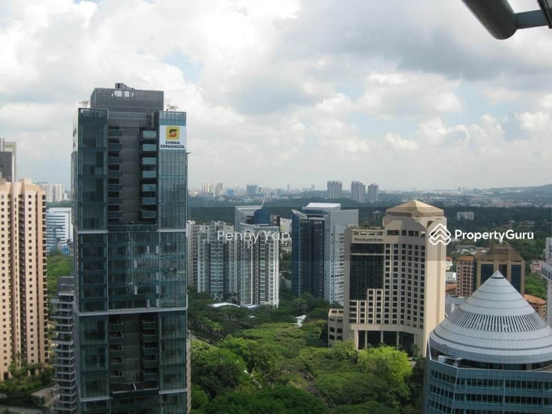 View from the room