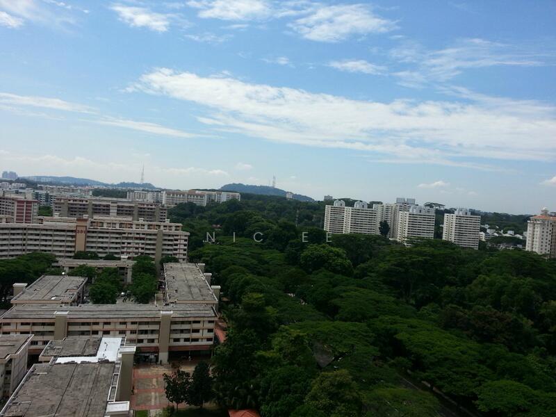 view from all windows