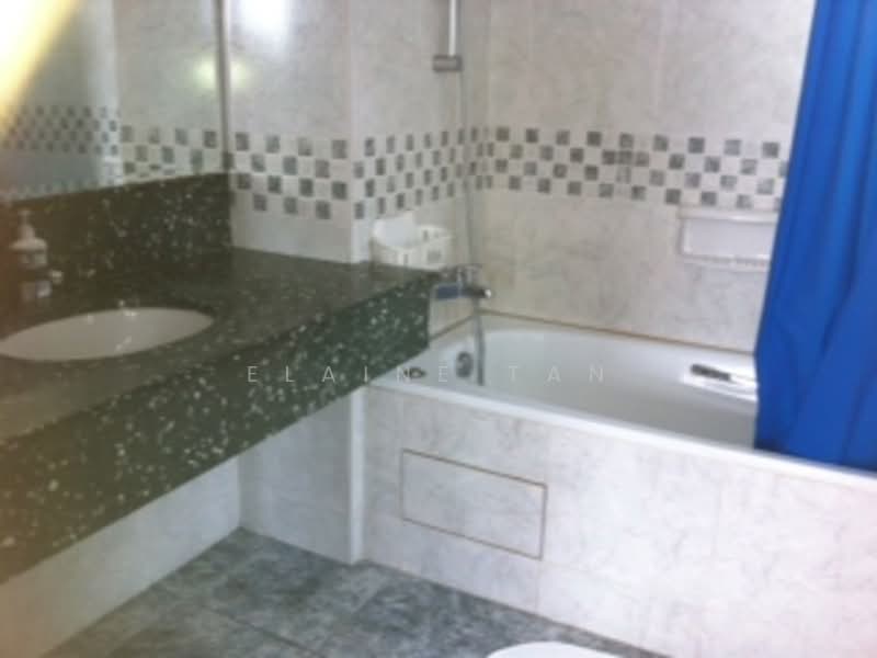 UE Square, 205 River Valley Road, 2 Bedrooms, 1,055 sqft, Condominium For Rent, by Elaine Tan, 18042151 - Well kept toilets - PropertyGuru.com.sg