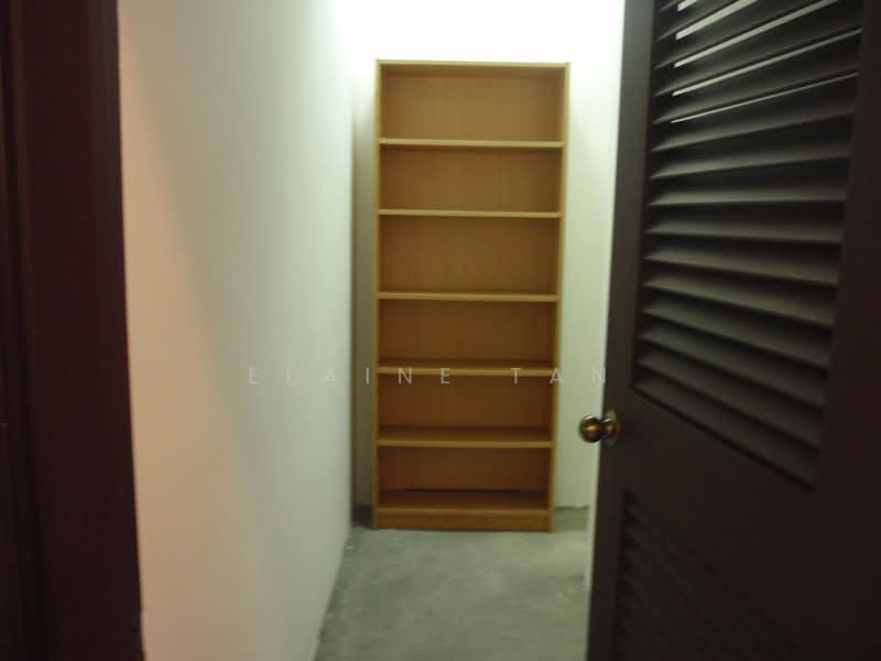 UE Square, 205 River Valley Road, 2 Bedrooms, 1,055 sqft, Condominium For Rent, by Elaine Tan, 18042151 - Storeroom - PropertyGuru.com.sg