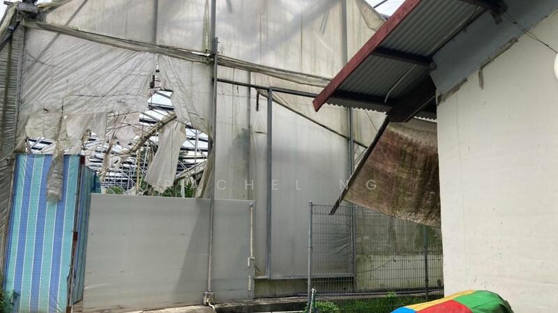 Neo tiew agriculture farm land, Sembawang Road, 50,000 sqft, Land Only For Rent, by Rachel ng, 18063649 - CommercialGuru.com.sg