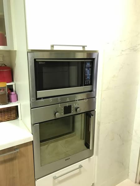 Jervois Lodge, 38A Jervois Road, 3 Bedrooms, 1,367 sqft, Condominium For Rent, by Cassandra Lim, 18220245 - PropertyGuru.com.sg