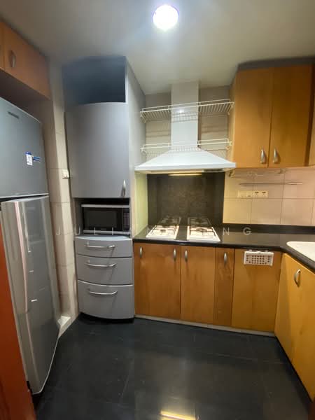 River Place, 60 Havelock Road, 1 Bedroom, 797 sqft, Condominium For Rent, by Juliana Ang, 18313711 - Comprehensive Kitchen - PropertyGuru.com.sg