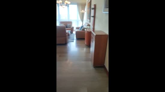 Tanglin View, 156 Prince Charles Crescent, 3 Bedrooms, 1,249 sqft, Condominium For Rent, by Kelvin Tay, 18347661 - PropertyGuru.com.sg