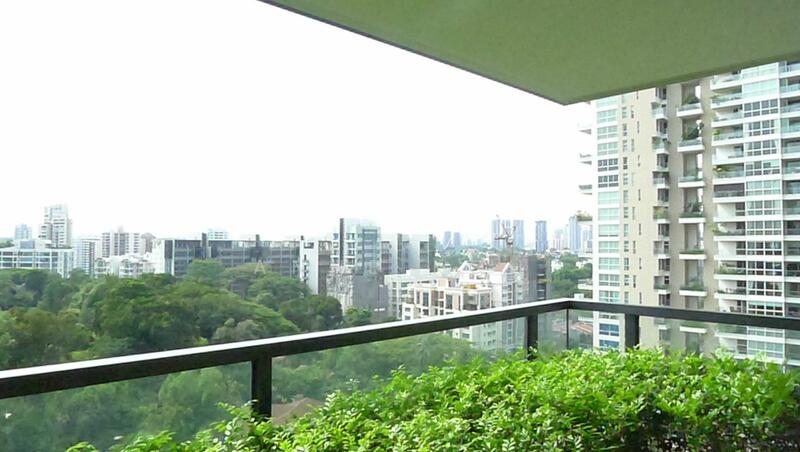 Charming  City View