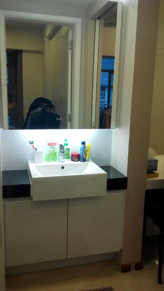 Amaninda, 329 Thomson Road, 1 Bedroom, 678 sqft, Condominium For Rent, by Yin Lim, 18365935 - sink outside bathroom - PropertyGuru.com.sg